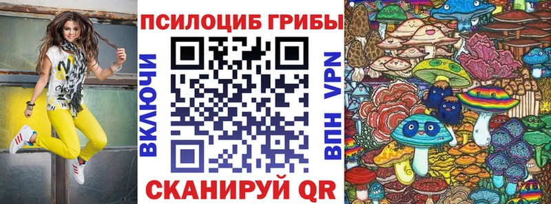 Галлюциногенные грибы Psilocybe Сертолово