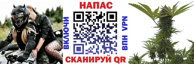 наркошоп  Сертолово  Каннабис Bruce Banner 
